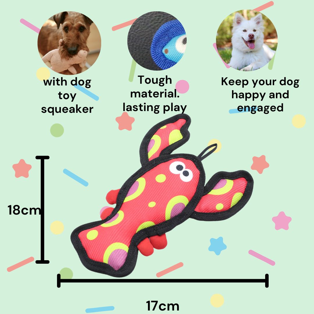 '.multi color rope dog toy HydroHound Rainbow Rope Toy