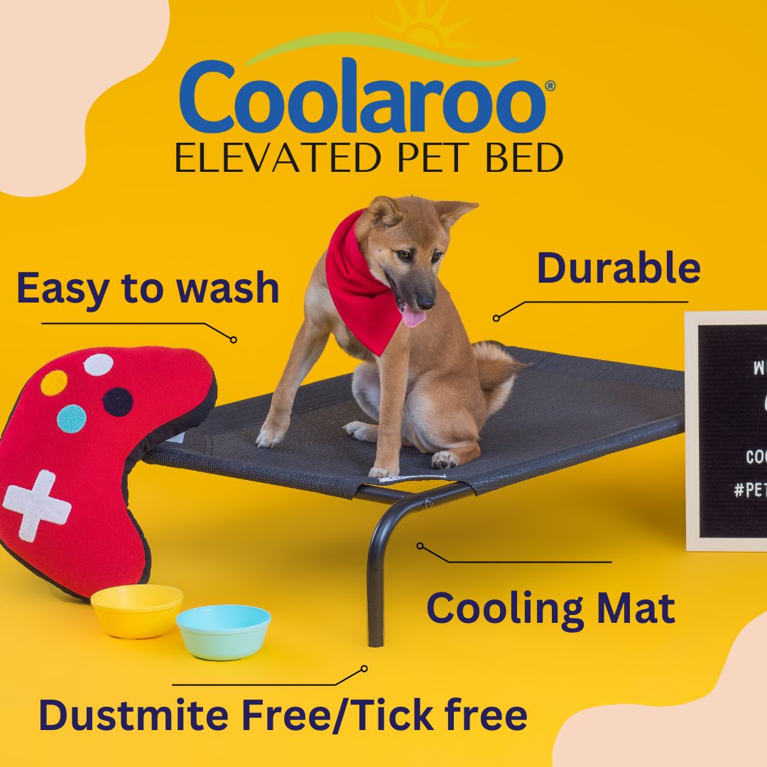 COOLAROO ELEVATED PET BED MEDIUM Petitudo