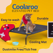 Load image into Gallery viewer, COOLAROO ELEVATED PET BED MEDIUM