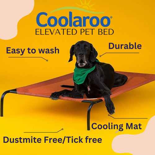 COOLAROO ELEVATED PET BED EXTRA LARGE