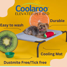 Load image into Gallery viewer, COOLAROO ELEVATED PET BED SMALL