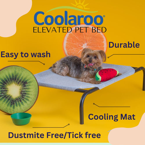COOLAROO ELEVATED PET BED SMALL
