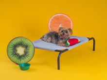 Load image into Gallery viewer, COOLAROO ELEVATED PET BED SMALL