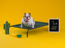 Load image into Gallery viewer, COOLAROO ELEVATED PET BED LARGE